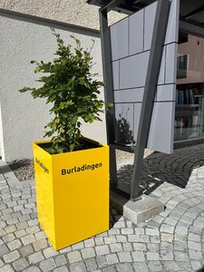 Pflanzensäule Marktplatz Burladingen